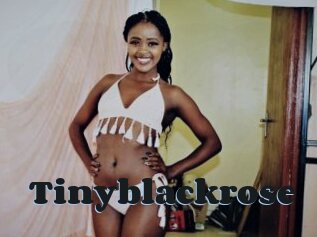 Tinyblackrose