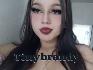 Tinybrandy