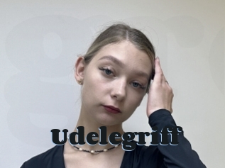 Udelegriff