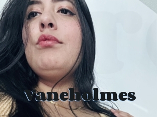 Vaneholmes