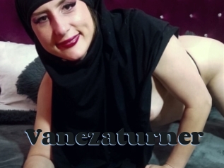 Vanezaturner