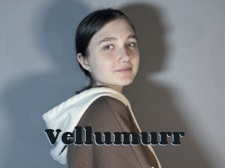 Vellumurr