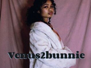 Venus2bunnie