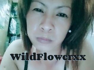 WildFlowerxx