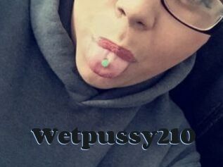 Wetpussy210