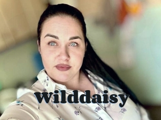 Wilddaisy