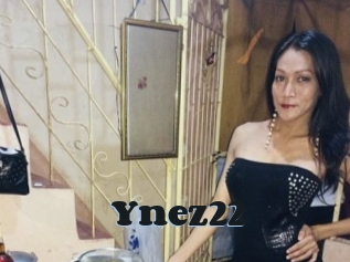 Ynez22