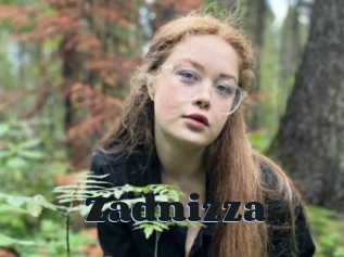 Zadnizza