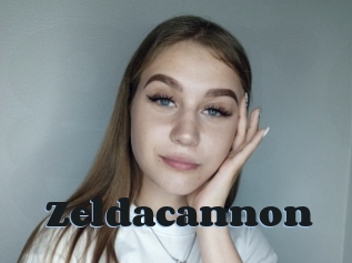 Zeldacannon