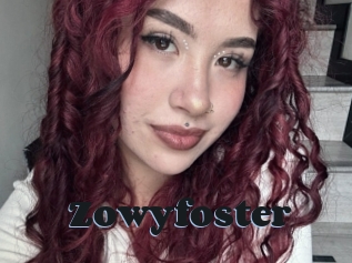 Zowyfoster